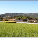 진등3로 이미지