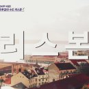 아줄레주헤어 이미지