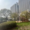 성실이발관 이미지