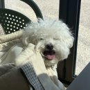 힙한식 | 남해 맛집 힙한식 웨이팅 후기