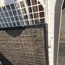 참조은날 이미지