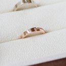 윈썸(winsome) 이미지