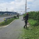 가자가자(GO GO) 이미지