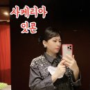 사케리아잇콘 이미지