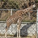 시커먼스 이미지