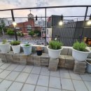 백아한우 이미지