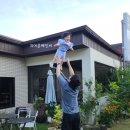 다님펜션 이미지