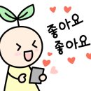 달빛과일 공도점 이미지