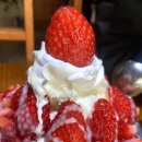 설빙충주성서점 이미지