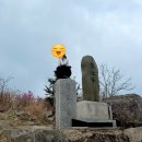 소계동121 | [창원] 천주산 진달래 실시간 개화상태 사진 꿀팁 + 단체 주차 편한 천주산 근처 맛집 추천