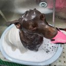 폼나개이뿌개 이미지