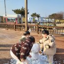 라반헤어 이미지
