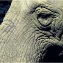 묵동-044 이미지