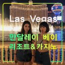 만달레이 베이 리조트&amp;카지노,라스베가스 여행,출장 추천 호텔,수족관,트램