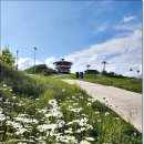 운탄고도 버스 탑승시간 변경(롯데마트 05:30, 대전시청 06:00, 원두막 06:20) 이미지