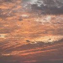 제주532스테이 이미지