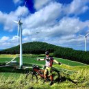 매봉산 바람의언덕 이미지