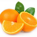 김정희오일 이미지