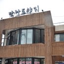 탐라도야지2 이미지
