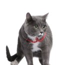 우주동물병원 이미지