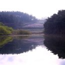 복사꽃피는마을 이미지