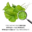 소우코우 이소비텍신 다이어트 후기 – 4주간의 변화