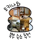 오키나와 북부 숙소 추천｜츄라우미·코우리섬 근처 에어비앤비 후기
