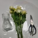 [오송꽃집]오송스타플라워 가성비 꽃집 추천🌹5월 장미 구매후기