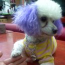 망우3동-001 이미지