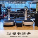 드송
