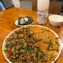 송연야채