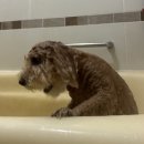 영재오토 | 🍏6.1-6.30🍏