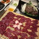 싱싱회관 이미지