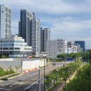 퍼스트 메디칼 네이버블로그