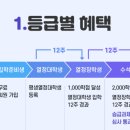 MKYU 평생열정대학생이 되었어요