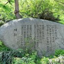 정은꽃농원 티스토리