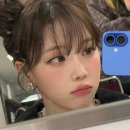 걸그룹 에스파 윈터, '펫샵 의혹'에 해명 나섰다…"보호소에서 구조한 아이" 이미지