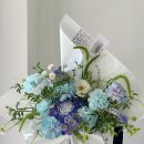 유수플레르