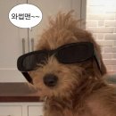 휴이엠헤어 이미지