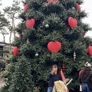 제일맨션타운 | 롯데타운 크리스마스 마켓 후기｜대형트리·스노우 샤워·회전목마