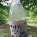 러브팜캠핑장 | [강원 화천] 러브팜 캠핑장
