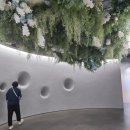 봄날오다 | 210713 하이브 인사이트(a.k.a. 에그타르트 맛집) 방문 후기와 TIP