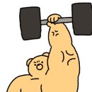 테디 케이짐 이미지