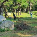 김천공단정비 이미지