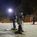 양지파인리조트 이미지