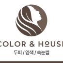 컬러앤하우스예산점