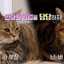 자연안마원 이미지