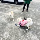 백산세탁소 이미지