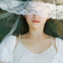 경기운수(주) 네이버블로그