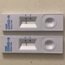 이유신피아노학원 이미지